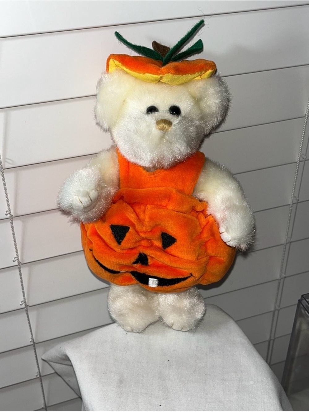 Halloween Bear